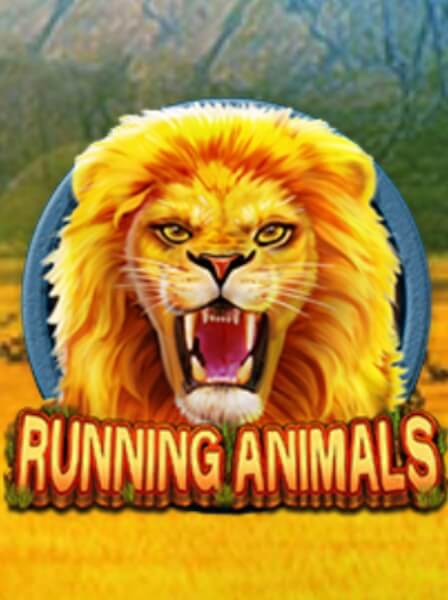 Get Ready for Epic Challenges with TourneyKing\